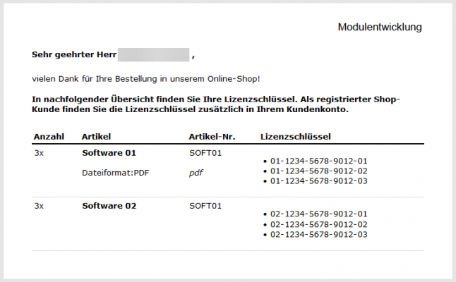 E-Mail mit Lizenzschlüsseln